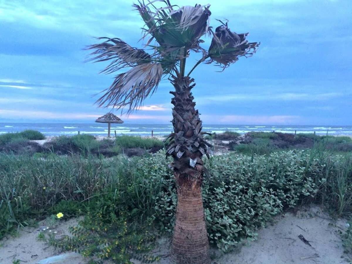Fun In The Sun! Cozy Beach Pad, Gulf Views And Easy Access To The Sand! Surfside Beach Extérieur photo